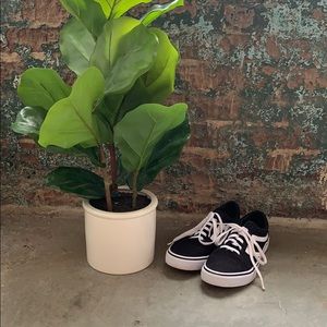 Skater Shoes (similar to Vans)